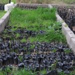 Trabaja Coordinación de Resiliencia en el Plan de Acción Climática 4 resiliencia 1 2