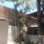 Reportan tres incendios y un árbol a punto de caer 8 servicios pc 8 4