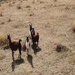 Asegura Estado más de 50 propiedades al exgobernador con valor superior a 500 mdp 13 03 1