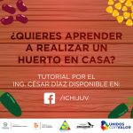 102708060 3292732337425412 8857882345480606977 o 1