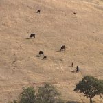 Asegura Estado más de 50 propiedades al exgobernador con valor superior a 500 mdp 11 120