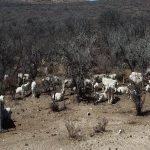 Asegura Estado más de 50 propiedades al exgobernador con valor superior a 500 mdp 5 13