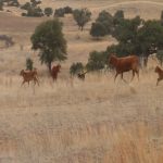 Asegura Estado más de 50 propiedades al exgobernador con valor superior a 500 mdp 20 80