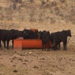 Asegura Estado más de 50 propiedades al exgobernador con valor superior a 500 mdp 21 81 1