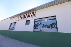 Agradece Dirección de Ecología buena respuesta ante adopción de mascotas 1