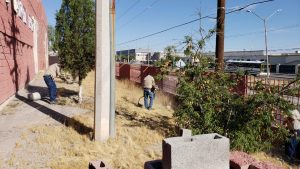 Bibliotecas Publicas Nota 4