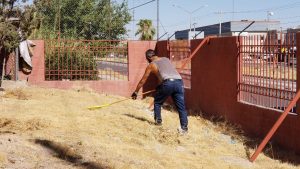 Bibliotecas Publicas Nota 5