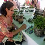 Invita Sedue Chihuahua a curso de verano virtual entre 5 estados 3 CURSOS CECA2