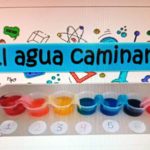 Canal de Educación Especial 1