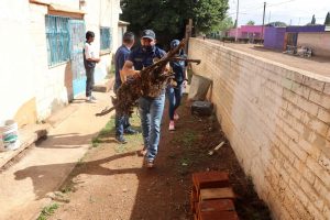 Cuauhtémoc 28 Julio 2020 2