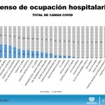 COVID-19: Solo 38 nuevos contagios durante el fin de semana en el estado 11 Diapositiva13 11