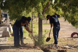 Encabeza Presidente Municipal “Juárez Iluminado” en tres fraccionamientos del suroriente de la ciudad 15