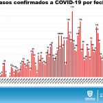 INFORME TÉCNICO COVID DOMINGO 19 16