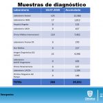 INFORME TÉCNICO COVID DOMINGO 19 6