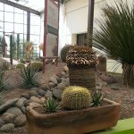 Invita Sedue Chihuahua a curso de verano virtual entre 5 estados 2 JARDÍN BOTÁNICO DEL CECA 1