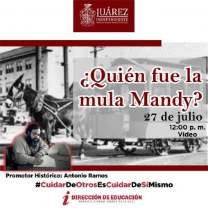 La Dirección de Educación invita aprovechar las actividades virtuales 1