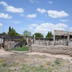 Loera Benito Juárez 14