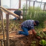 Ocupacion Temporal Vivero