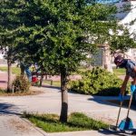 Ocupación Temporal en D.BELISARIO DOMINGUEZ