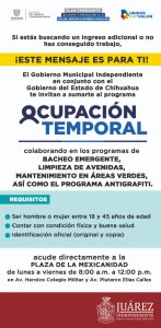 Programa de Ocupación Temporal 4
