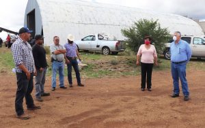 SEMILLA DE AVENA SUBSIDIADA 2