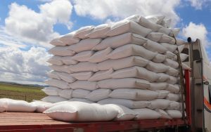 SEMILLA DE AVENA SUBSIDIADA 3