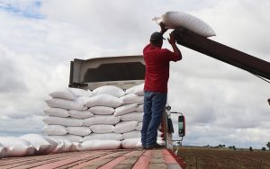 SEMILLA DE AVENA SUBSIDIADA 4
