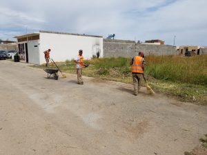 Tractor de Cuauhtemoc5