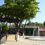 WhatsApp Image 2020 07 17 at 10.46.51 1