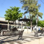 WhatsApp Image 2020 07 17 at 10.46.54