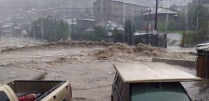 WhatsApp Image 2020 07 19 at 4.58.06 PM