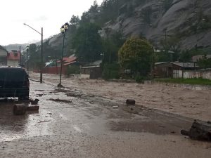 WhatsApp Image 2020 07 19 at 5.10.29 PM