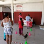 cc desnutricion y obesidad 4