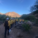 Disminuyen incendios forestales más de 50% en la entidad 4 incendios 1