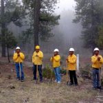 Disminuyen incendios forestales más de 50% en la entidad 2 incendios 5