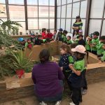 Invita Sedue Chihuahua a curso de verano virtual entre 5 estados 1 niños en CECA4