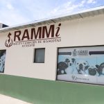 rammi adopcion mascotas 2