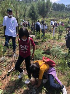 reforestación2