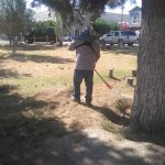 Limpia Atención Ciudadana del Suroriente tres áreas verdes 3 suroriente 1
