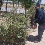 Limpia Atención Ciudadana del Suroriente tres áreas verdes 4 suroriente 3