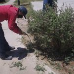 Limpia Atención Ciudadana del Suroriente tres áreas verdes 5 suroriente 6