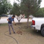 Limpia Atención Ciudadana del Suroriente tres áreas verdes 7 suroriente 7