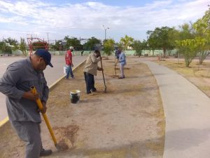 áreas verdes en 38 colonias de Ciudad Juárez 1