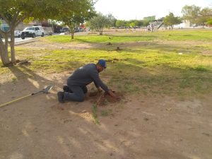 áreas verdes en 38 colonias de Ciudad Juárez 2