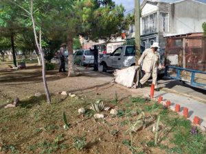 áreas verdes en 38 colonias de Ciudad Juárez 3