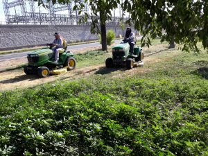 áreas verdes en 38 colonias de Ciudad Juárez 4