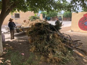 áreas verdes en 38 colonias de Ciudad Juárez 5