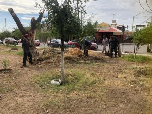 áreas verdes en 38 colonias de Ciudad Juárez 6