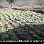 Pide Chihuahua a Federación solidaridad ante sequía extrema 2 1 21