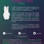 Invitan a participar en casting infantil para protagonizar película 5 117968125 1796470893857540 5106903837165735131 n 1